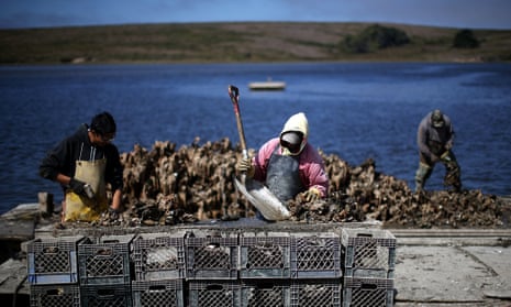 Summer Brennan: 'oyster wars' reveal a battle for America's public lands, Books