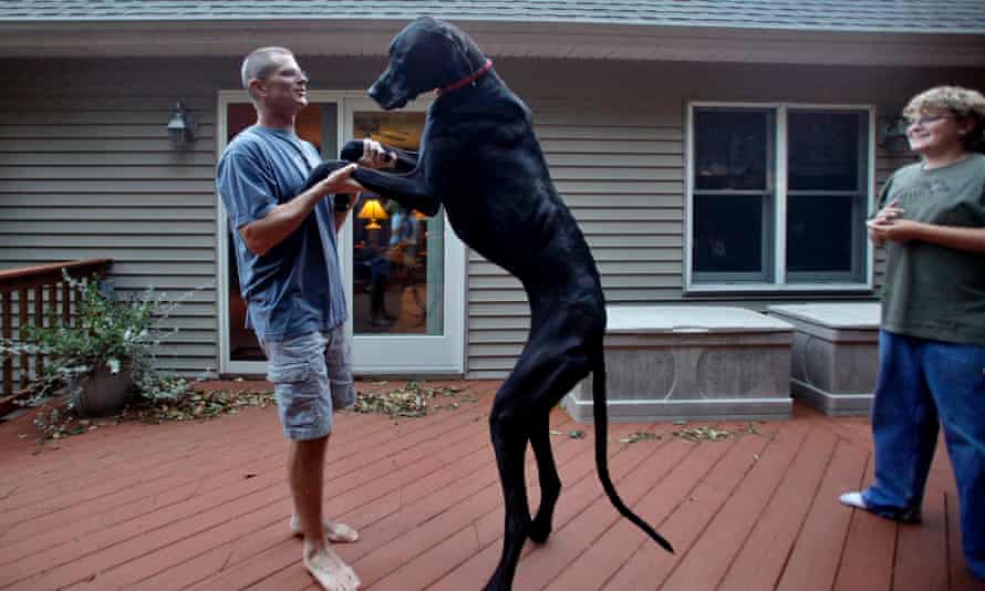 The 10 Best World Records World Records The Guardian The 10 Best World Records World Records The Guardian