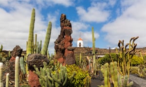 Lanzarote S Beautiful Cactus Garden Travel The Guardian