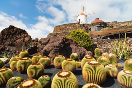 Jardin de Cactus, Lanzarote.