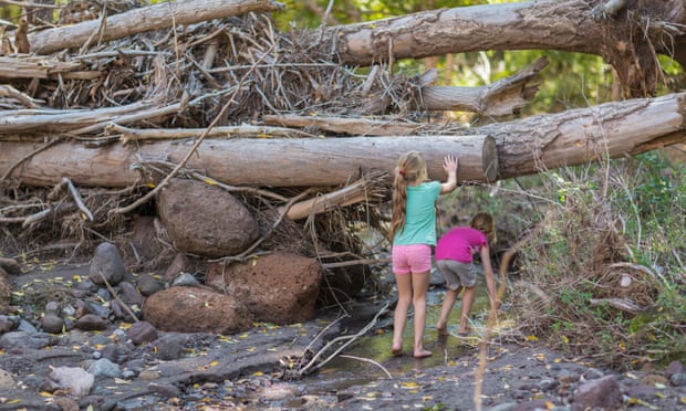 Two girls playing outdoors by tree stumps
