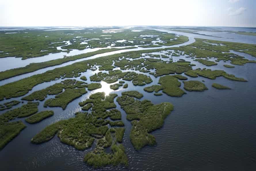 Aerial view of swamp in Louisiana.