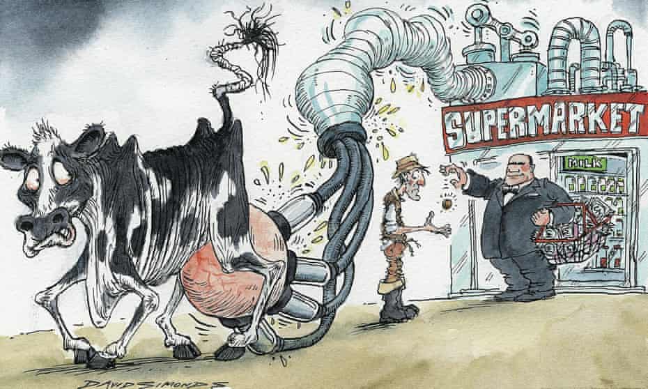 Cartoon by David Simonds on farmers' fight to win better milk prices