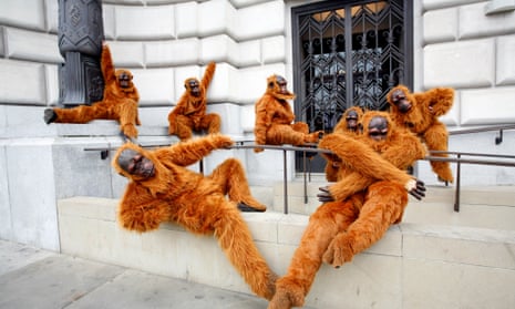 Greenpeace campaigners dressed in orangutan costumes