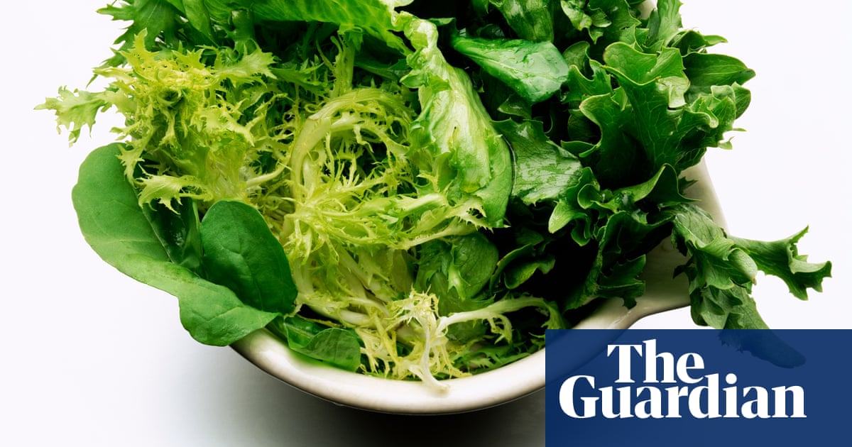 Do You Like Salad You Re A Fool Salad The Guardian