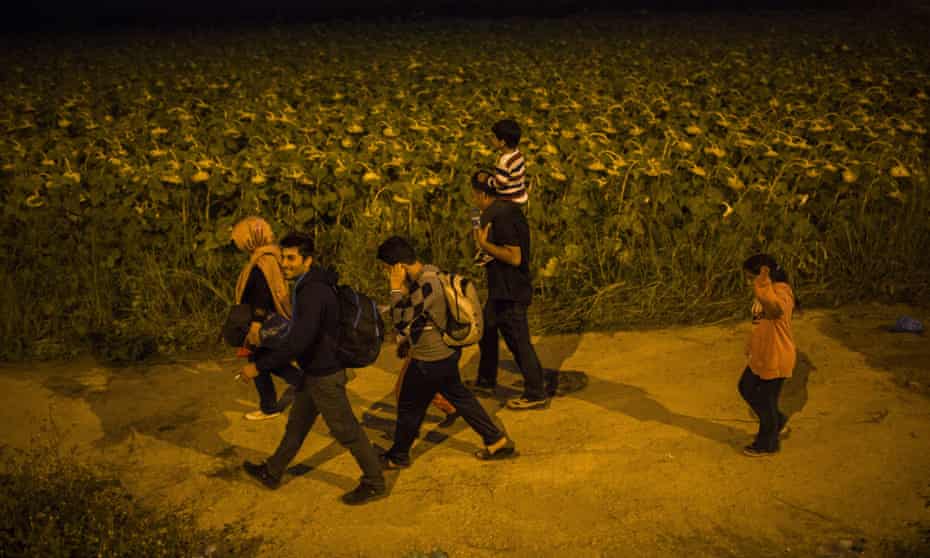 Syrian refugees walk among fields in northern Greece: the southern European countries of Greece, Italy and Spain have taken in 25% of the Syrian refugees who have reached Europe. The proportion offered asylum in Britain is fewer than 1%.
