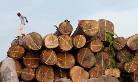 Not for sale … Gabon has banned the export of whole logs and is developing its own timber processing industry.