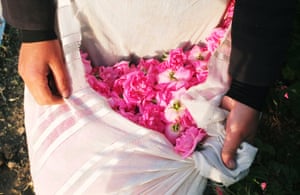 The festival of Gol-o-Golab (Rose and Rosewater), in Kashan, Iran.