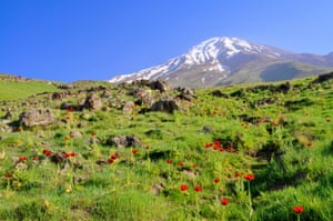 The Alborz mountains.