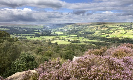 Purple pose … Nidderdale, a mix of heather moorland, rolling hills and pretty villages.