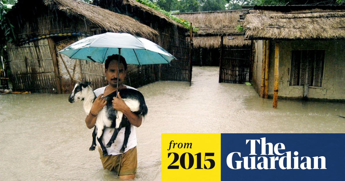 After the flood: how saving animals is about more than just sentimentality
