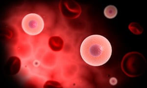 A microscopic view of a plasma cell inside a blood vessel.