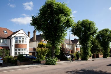 A tree-lined street in the London borough of Barnet.