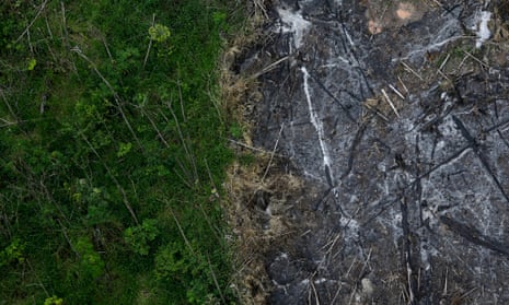 An area of slashed and burned Amazon rainforest next to a section of virgin forest in Brazil