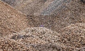 Piles of sugar beets. Waste beet material is being used to create eCO2. 