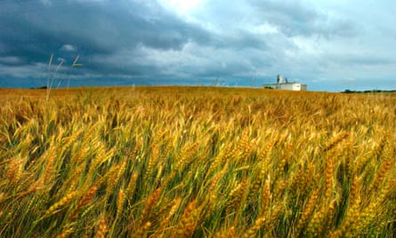 wheatfield with storm