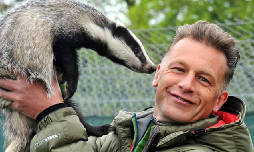 Chris Packham with a badger at the Secret World Wildlife centre featured on BBC2's The Burrowers.