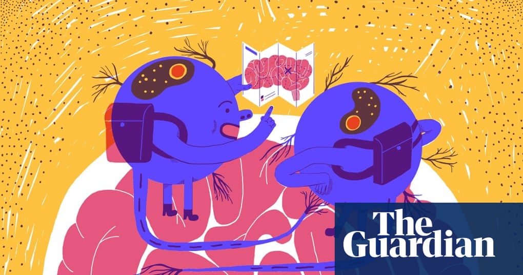 What Happens In Your Brain When You Make A Memory Students The Guardian What Happens In Your Brain When You Make A Memory Students The Guardian