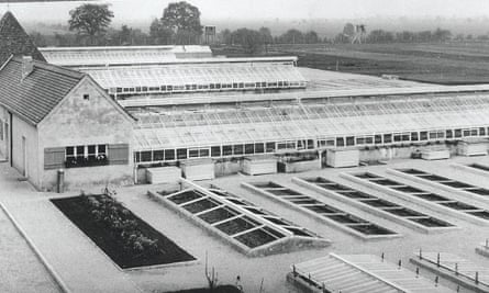 The greenhouses in the ‘herb garden’ at Dachau in 1945.