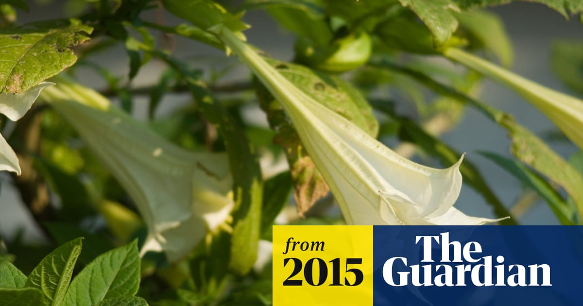 www.theguardian.com