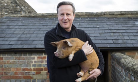 David Cameron holds a piglet