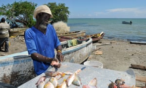 A fisherman cleans his catch