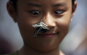 Kunming, China A butterfly alights on a boy's face at a butterfly exhibition