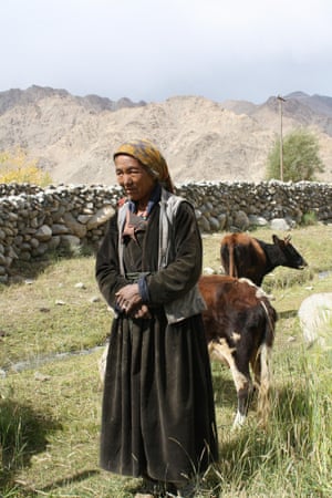 A female farmer in Stakmo village, Ladakh, benefits from meltwater irrigation from a newly created artificial glacier in the mountains above.