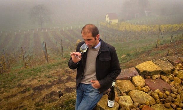 Christian Beyer at the Emile Beyer vineyard 