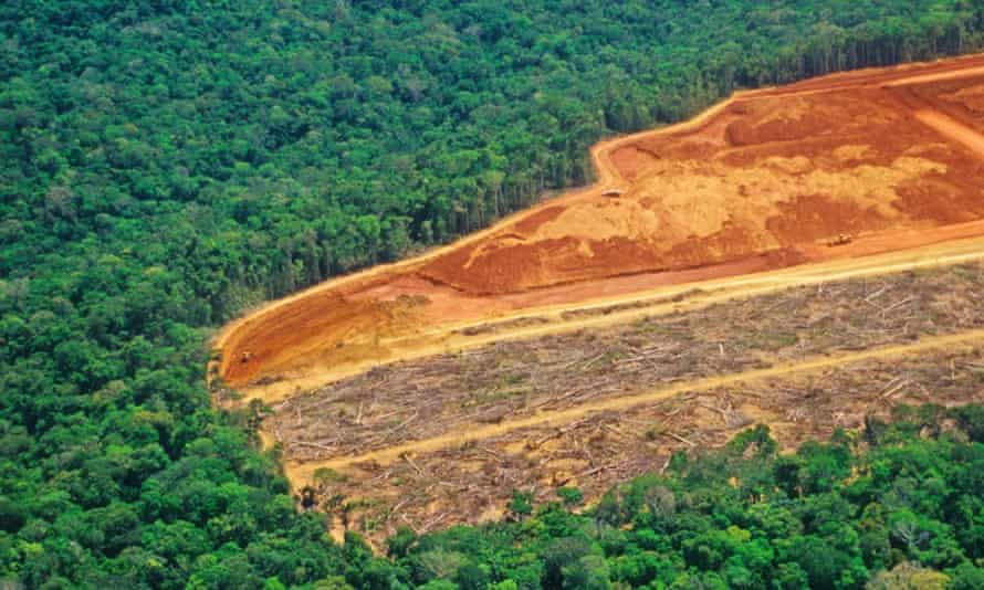 Rate Of Global Forest Loss Halved Says Un Deforestation The Guardian Rate Of Global Forest Loss Halved Says Un Deforestation The Guardian