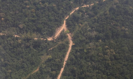 Peru logging