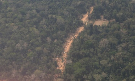 Peru illegal logging