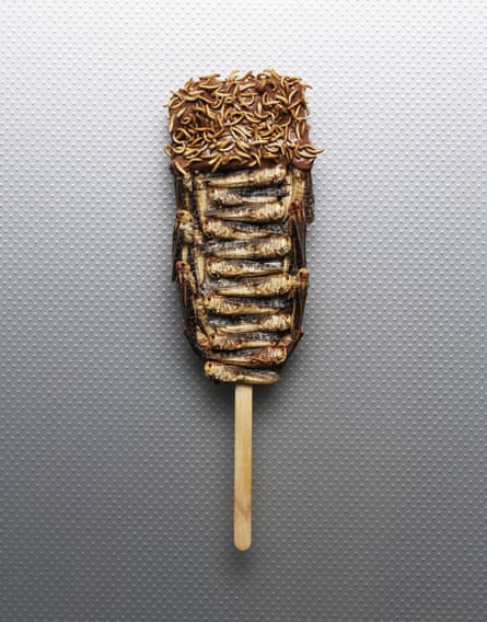 A cricket, mealworm and chocolate lollipop