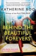 Behind the Beautiful Forevers
