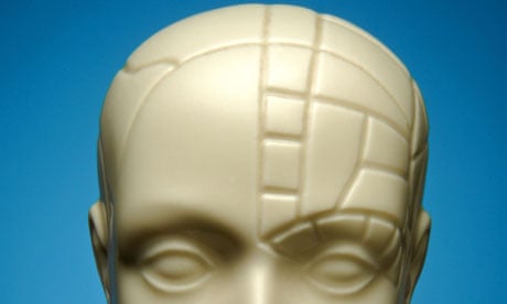 A bust of a phrenology head