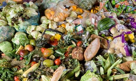 half of the world's food thrown away, report finds | Food | The Guardian