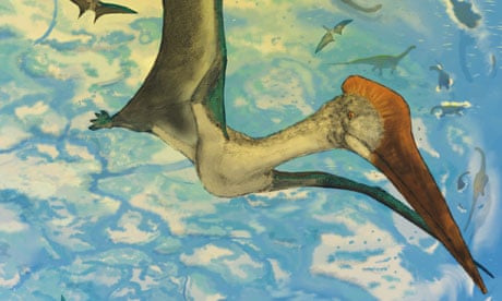 Cartoon Pterodactyl  Giant Pterosaur of the prehistoric skies!