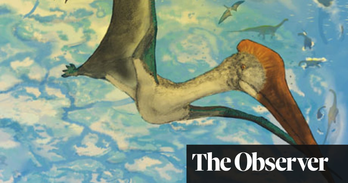 Tricky take-offs may have limited pterodactyl size - The