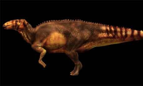 Fewer T. rex walked the Earth than previous estimated, new study