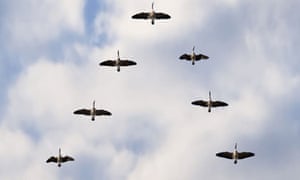 Leadership