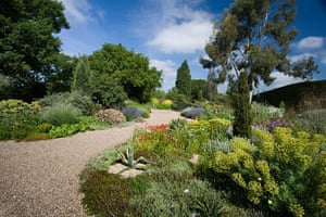 Gravel garden plants: Beth Chatto's gravel garden near Colchester in Essex