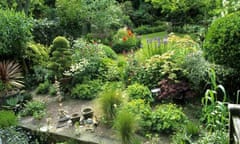 Country-style garden in north London