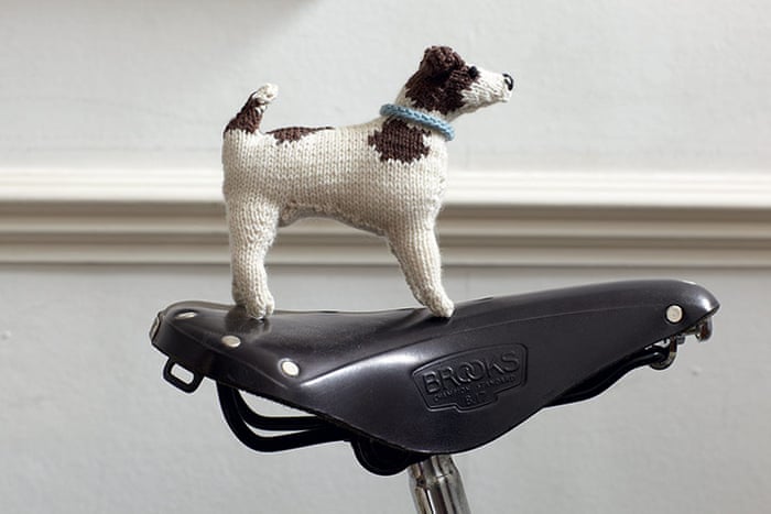 Best In Show Knit Your Own Dog Life And Style The Guardian