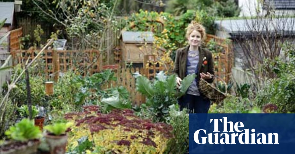 Ask Alys Fowler: are pine needles a problem?, Gardening advice