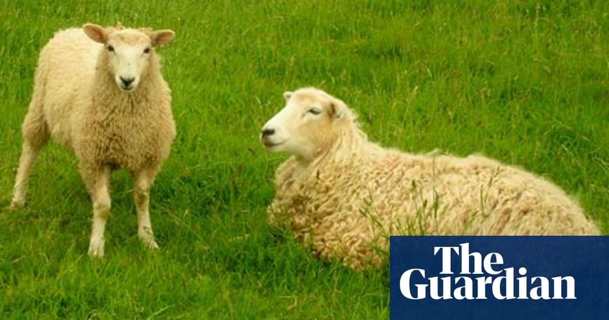 Cryptic crosswords for beginners: Double definitions ...