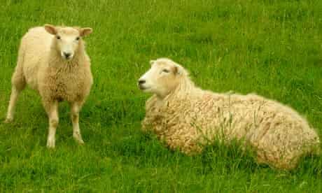 82cqwwdmhsq Pm 82cqwwdmhsq Pm