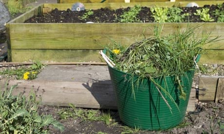 How to Get Garden Ready for Winter: Essential Tips for Success