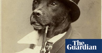 Vintage Dog Photography In Pictures Life And Style The Guardian Vintage Dog Photography In Pictures Life And Style The Guardian