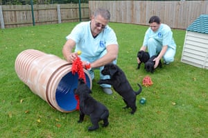 Charity News | BRIB Birmingham Guide Dogs Week 2012 - in pictures | Life and style | The ...