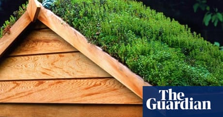 Grow your shed | Life and style | The Guardian